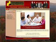 Business Transition Strategies Launches New Website